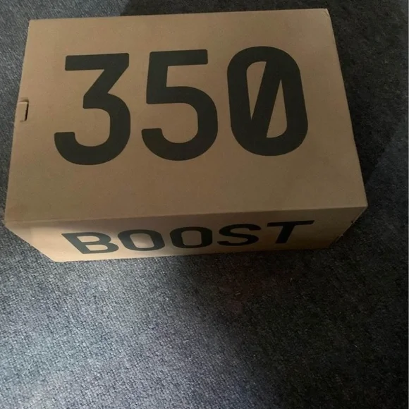 Yeezys slate 350